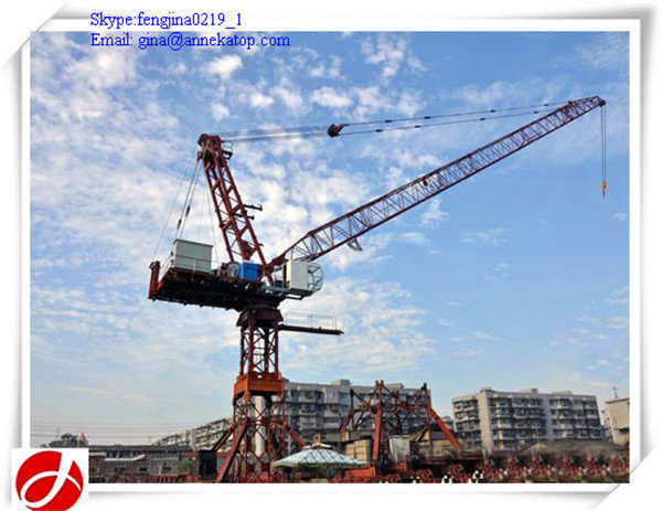 China factory supply10t 50m boom length luffing jib tower cranes for sale